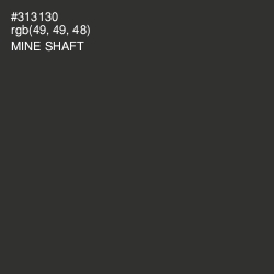 #313130 - Mine Shaft Color Image